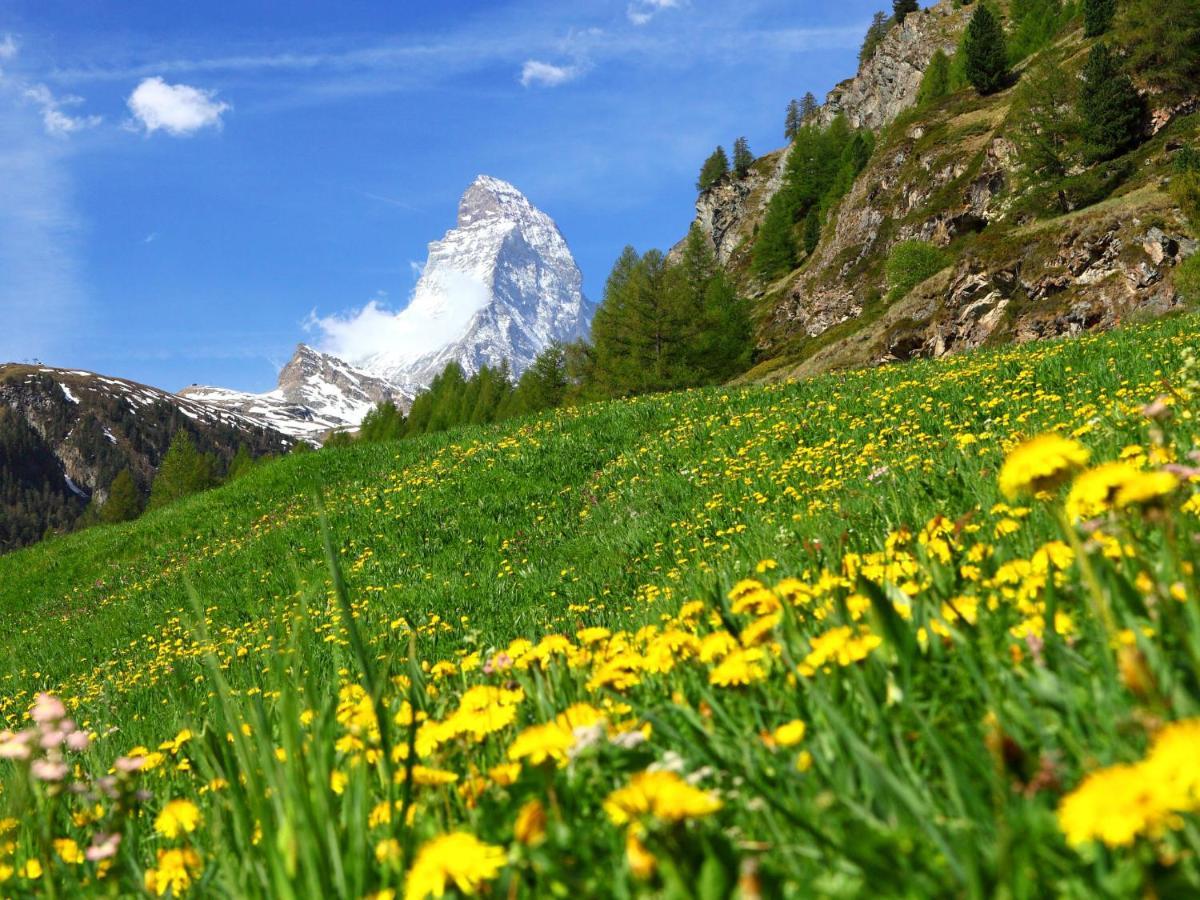 Apartment Matten - Utoring-12 By Interhome Zermatt Dış mekan fotoğraf